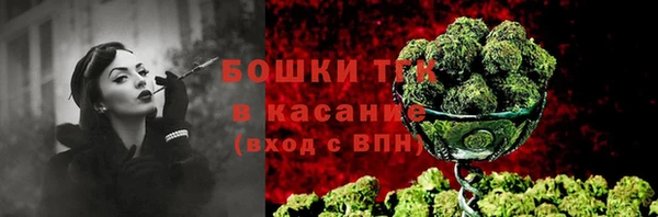 молекула духа Алексеевка