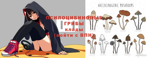 дживик Алзамай