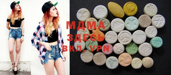 индика Ельня