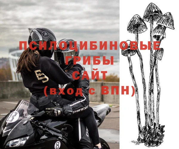 дживик Алзамай