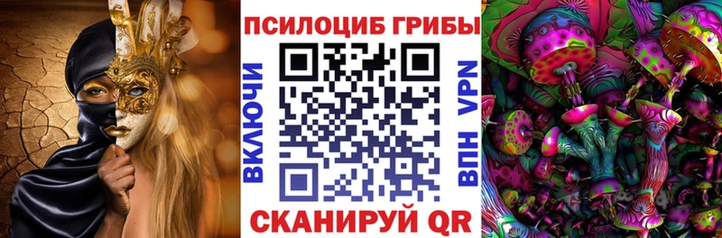 Псилоцибиновые грибы Psilocybine cubensis Владимир