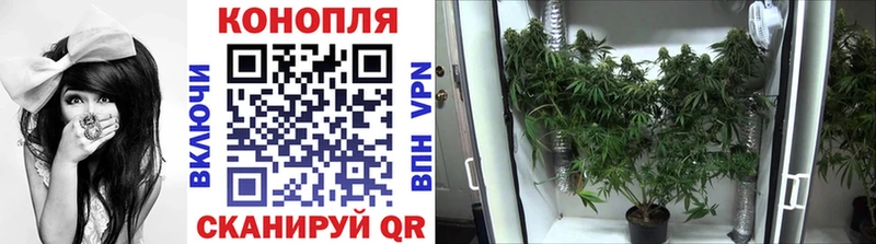 Канабис White Widow  наркошоп  Владимир 
